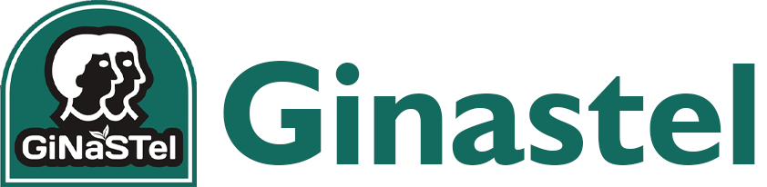 GINASTEL